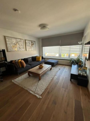 cosy appartement emile Zola